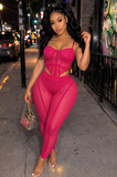 Pink Body suit Mesh Net Set