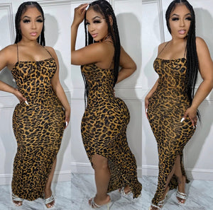 Leopard Sheer Dress