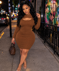 Brown Sweater Ribbed Dress